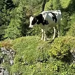 Grossbergblick