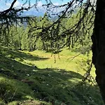 Grossbergblick * Filzmoos