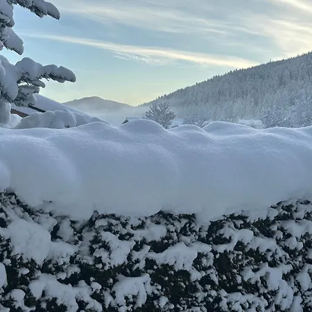 شقة Grossbergblick فيلزموس