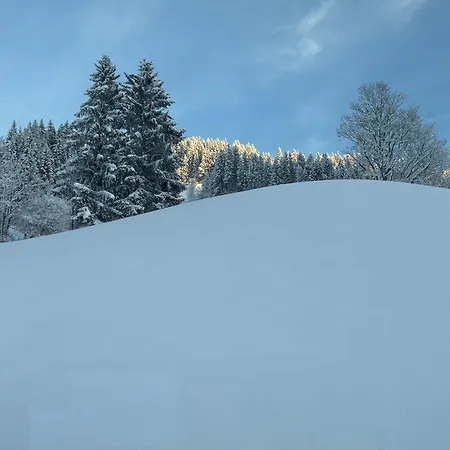 Grossbergblick شقة *