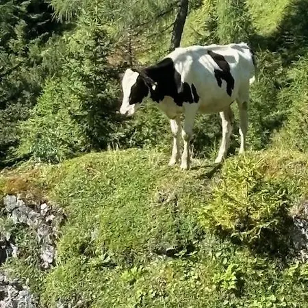 Grossbergblick