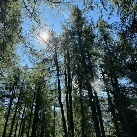 شقة Grossbergblick *