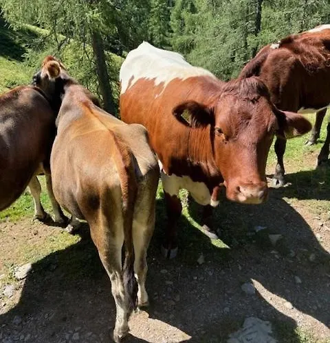 شقة Grossbergblick