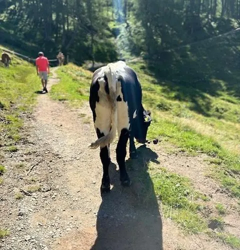 Grossbergblick شقة