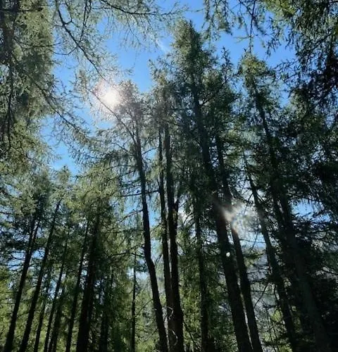 شقة Grossbergblick *
